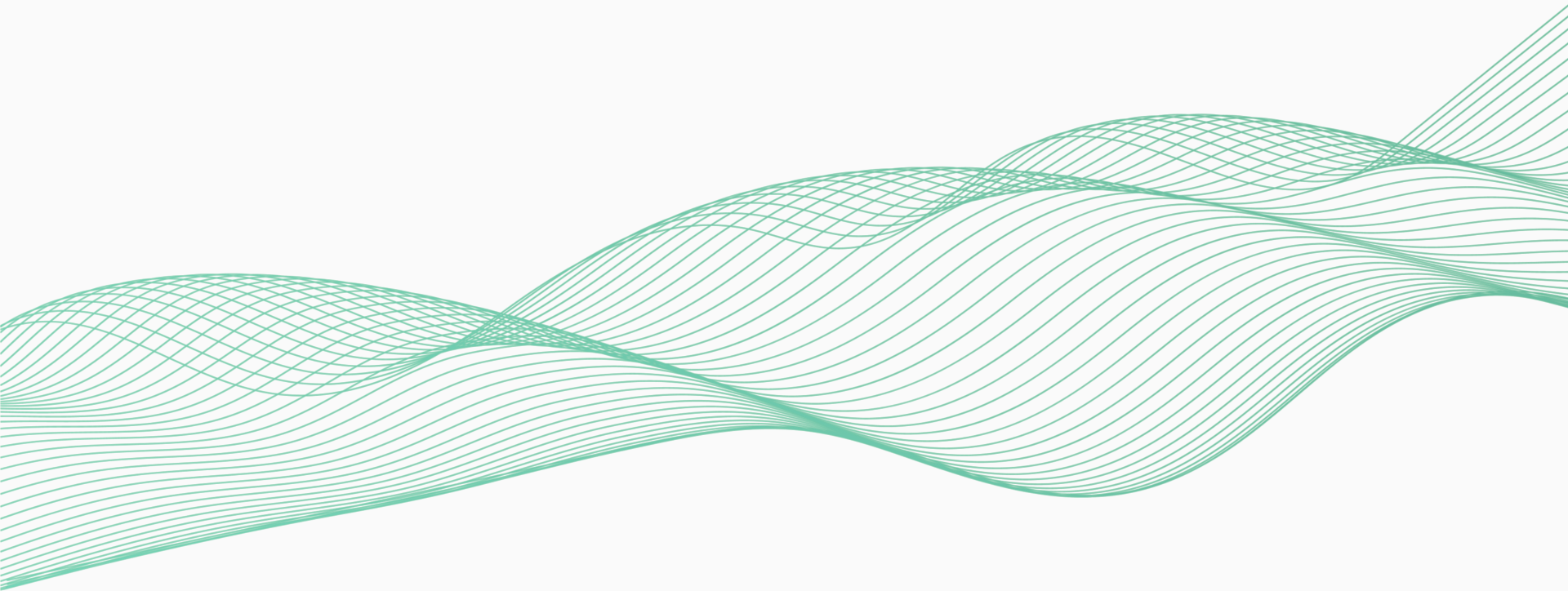 Visual Identity